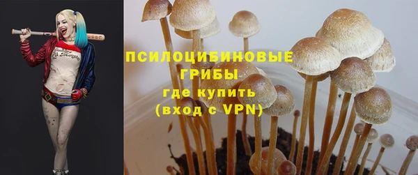 а пвп мука Кулебаки