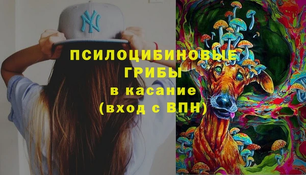 гидра Кукмор