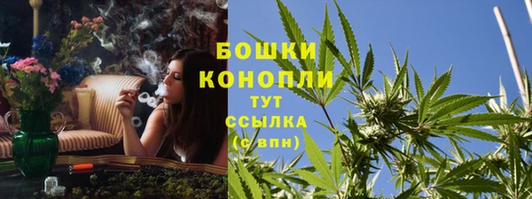 гидра Кукмор