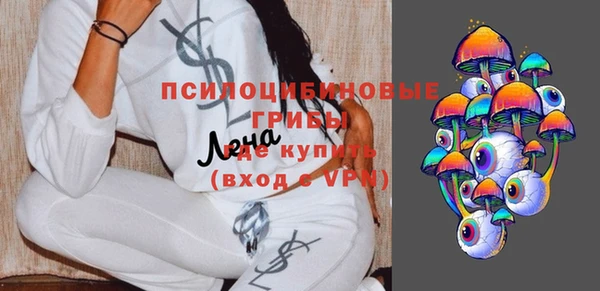 гидра Кукмор