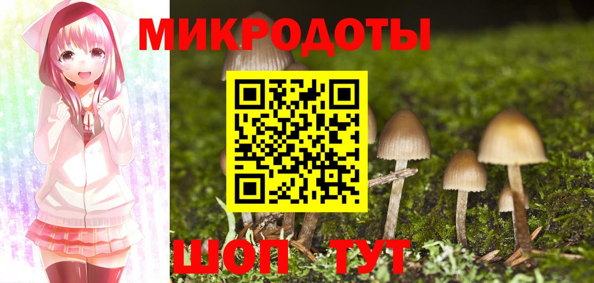 Псилоцибиновые грибы Cubensis Чернушка