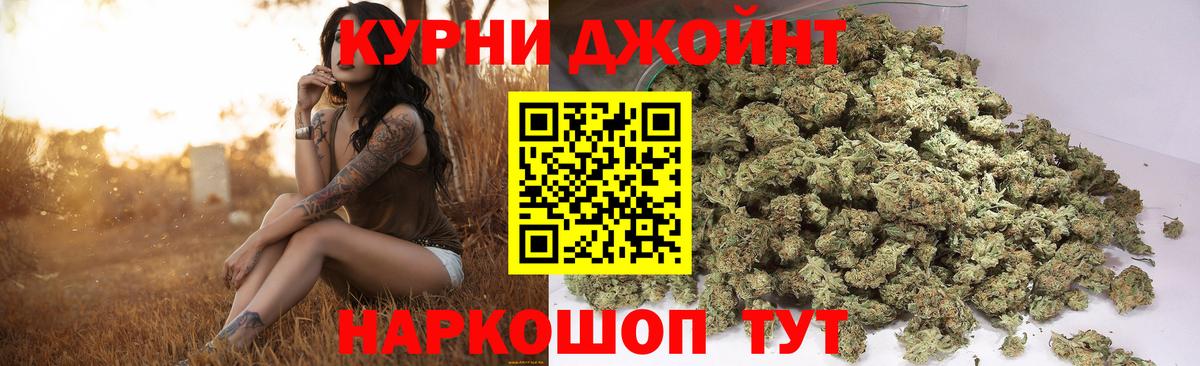 Чернушка  МАРИХУАНА Bruce Banner  Конопля семена  МАРИХУАНА сатива  Вход с VPN 